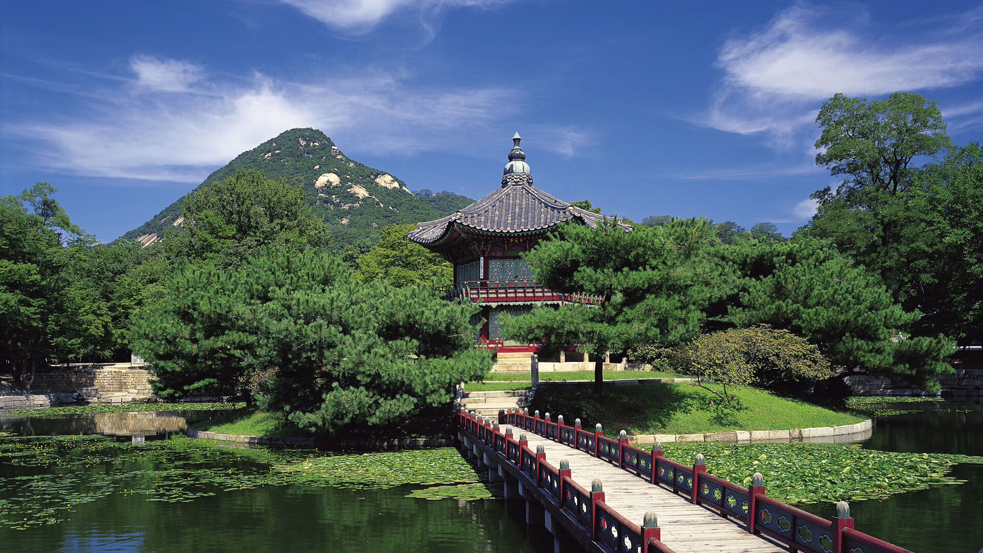 国足在国际友谊赛中的战术演练分析，国足 友谊赛