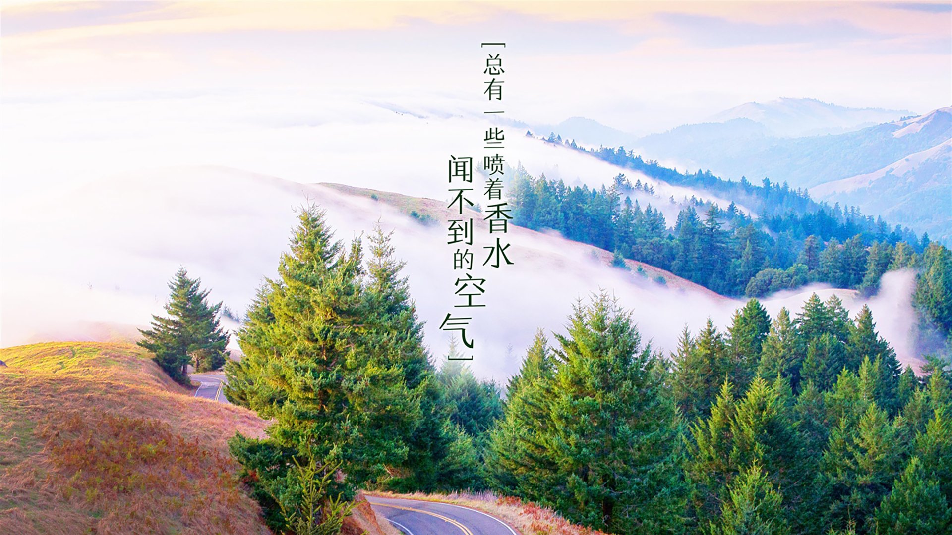 fb体育下载-热血篮球之战：全球球场豪强对决擂台巅峰，热血篮球官方网站