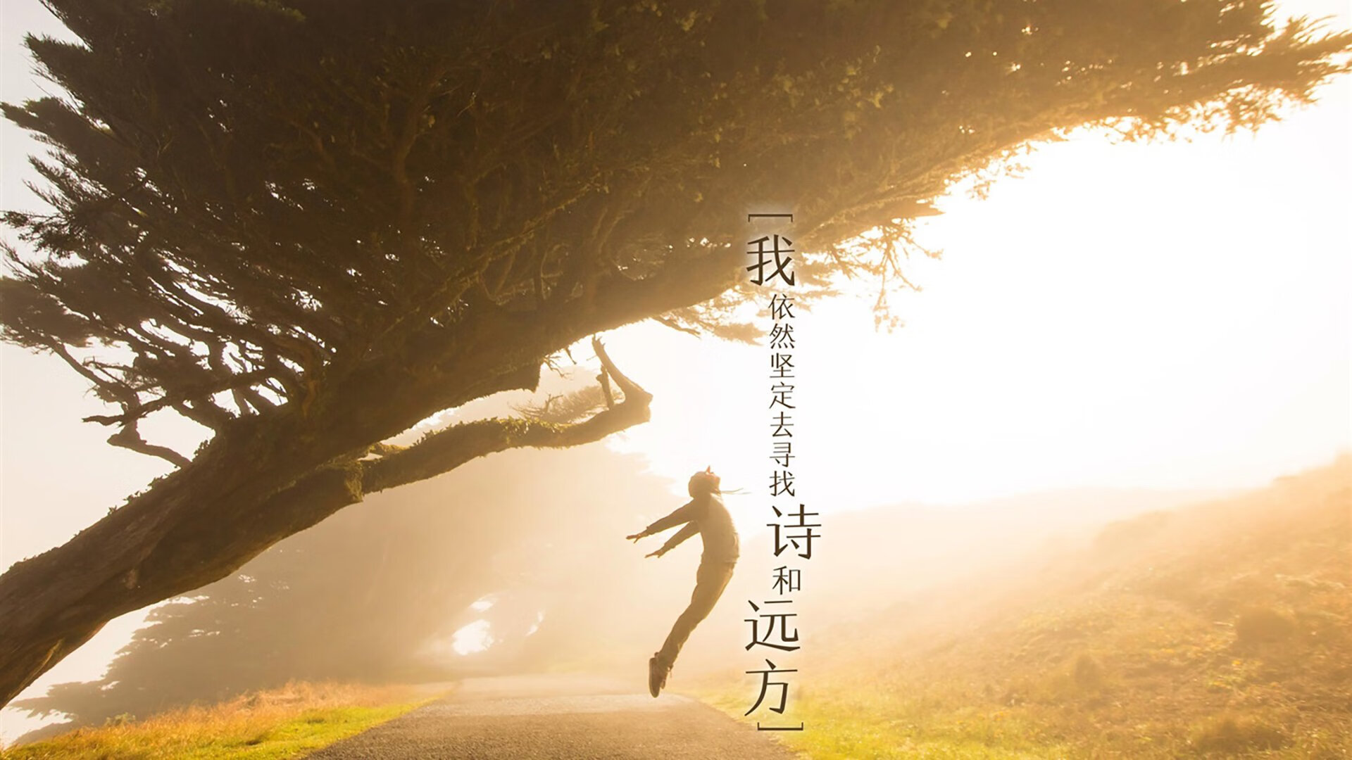 热血较量：浙江队实现连胜刷新记录