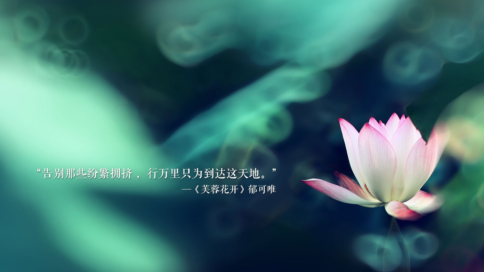 fb体育电脑版-自由搏击训练体系日臻完善，自由搏击知识