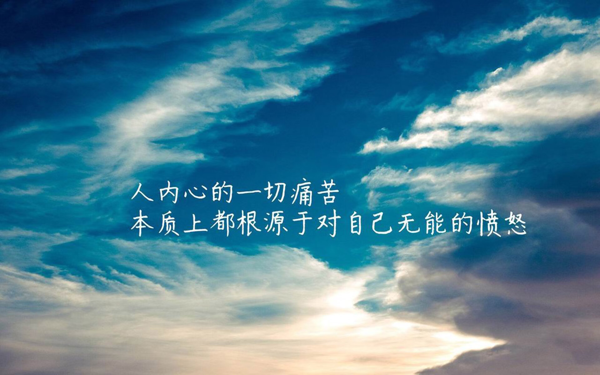 自由搏击训练体系日臻完善，自由搏击知识