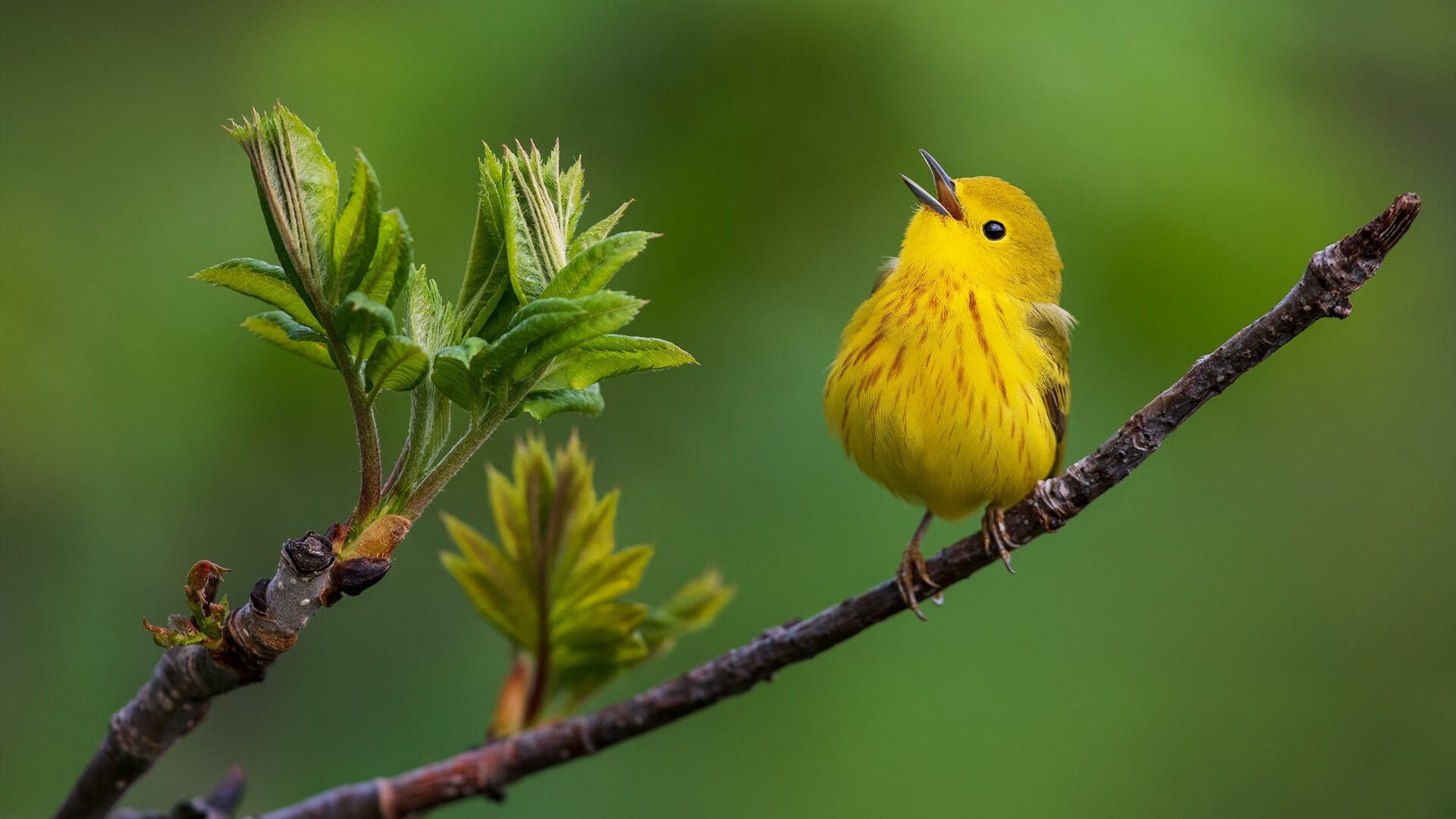 fb体育网站-青少年篮球人才库建设提速实现全国数据一体化管理，rsbl青少年篮球发展联盟
